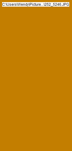 wp166ea973_1b.jpg