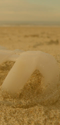 wp3d737f7a_1b.jpg