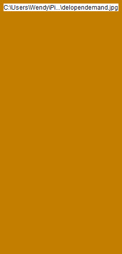 wp61098d1c_1b.jpg