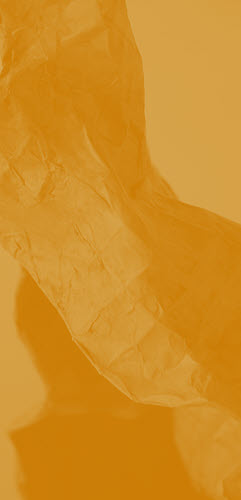 wp76b3d2fa_1b.jpg